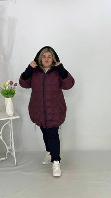 Куртка Ілона 2193І-2 фото