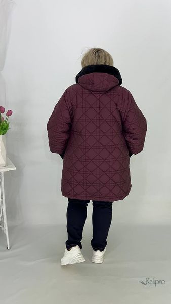 2193І-2 фото