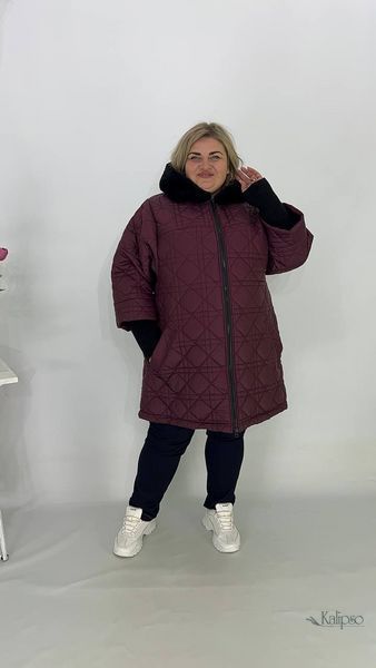 2193І-2 фото